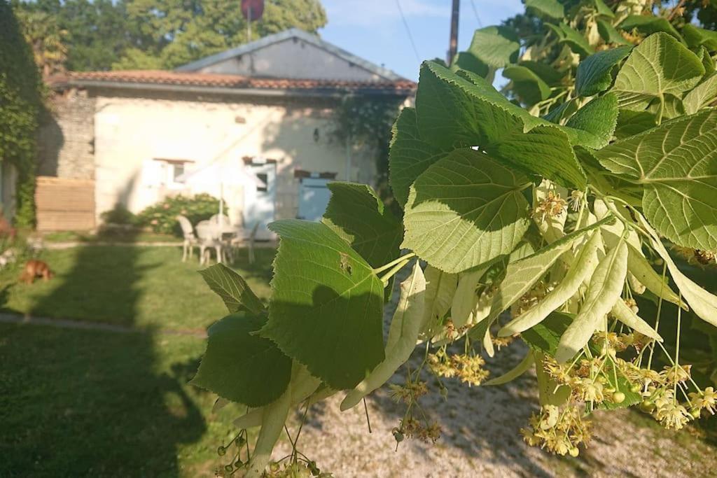 Entire Apartment With Swimming Pool Near Aubeterre Saint-Romain  Exteriér fotografie