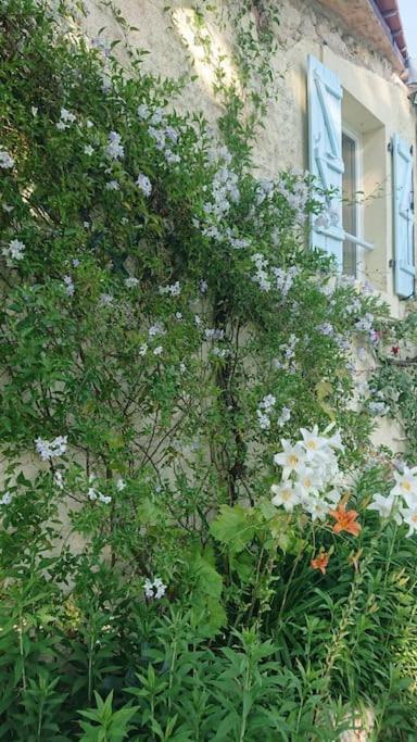 Entire Apartment With Swimming Pool Near Aubeterre Saint-Romain  Exteriér fotografie