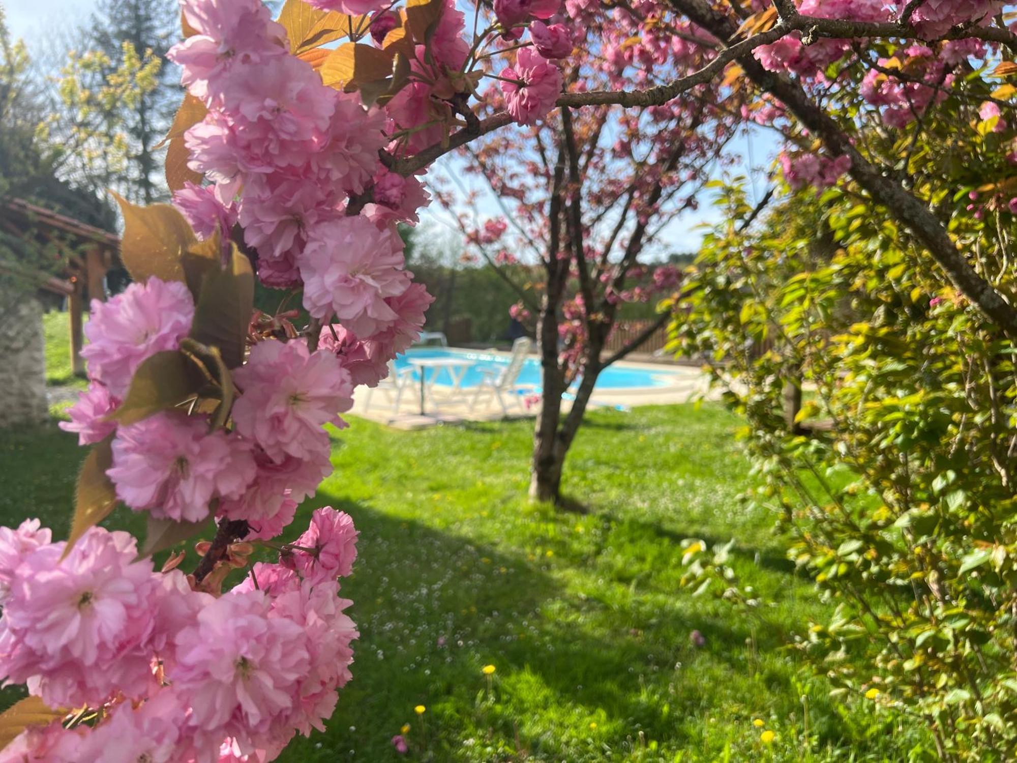 Entire Apartment With Swimming Pool Near Aubeterre Saint-Romain  Exteriér fotografie